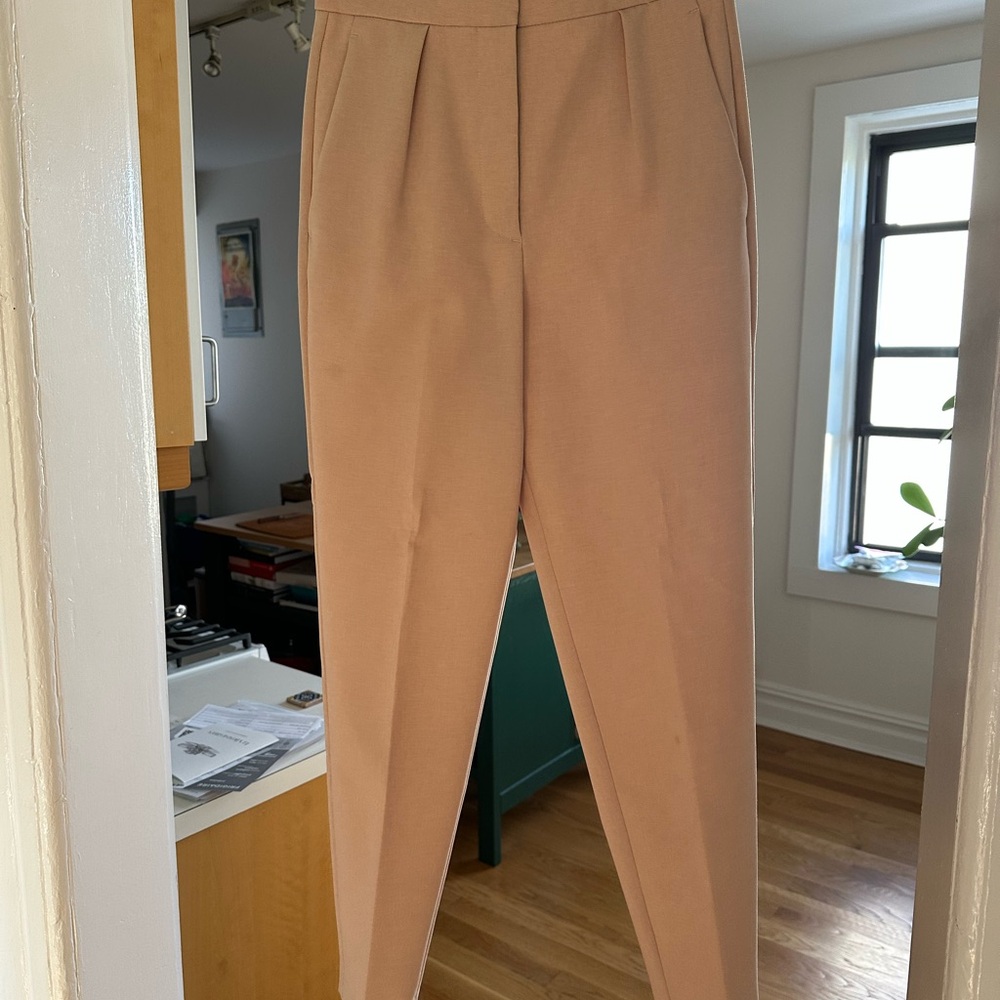 Theory Beige Trousers